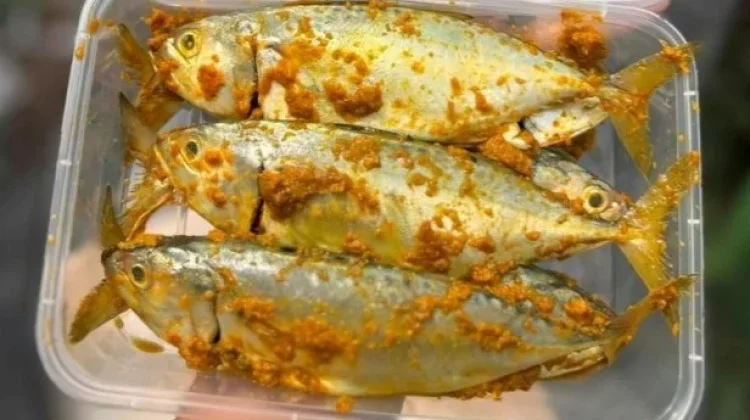 Rahasia Bumbu Marinasi untuk Ikan Kembung Tidak Amis