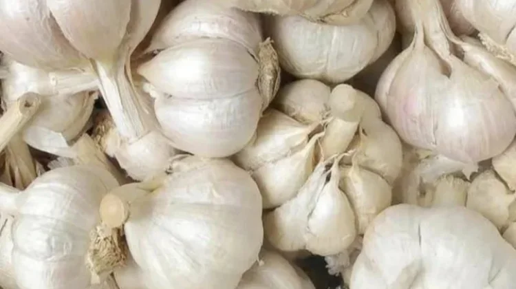 Teknik Mengolah Bawang Putih agar Tidak Pahit