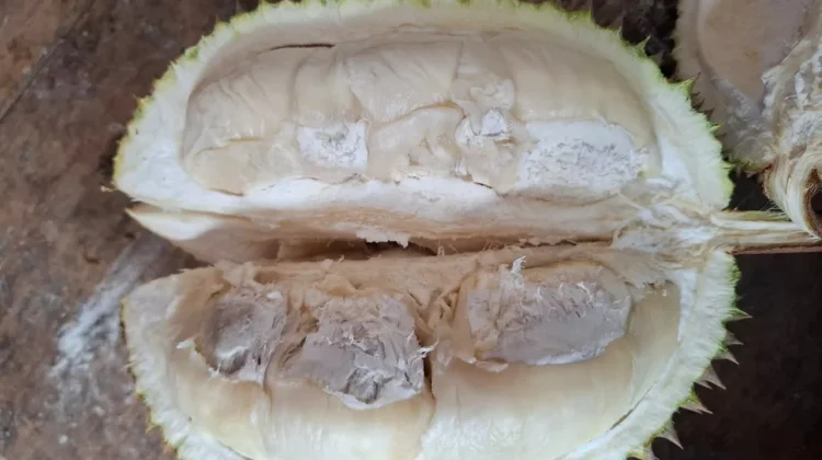 Kamu Pecinta Durian, Harus Paham Ini