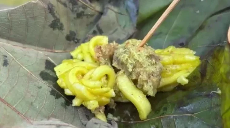 Keunikan Rasa Alakathak, Perpaduan Tradisi dan Cita Rasa