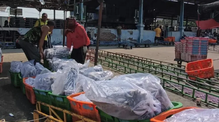Produksi Melimpah, Jateng Fokus Wujudkan Kemandirian Pangan Berbasis Ikan