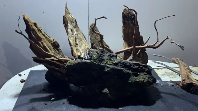 Mengenal Ragam Kayu Terbaik untuk Aquascape