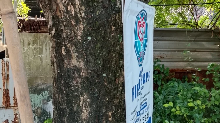 Halo RRI, Pemasangan Pamflet Dipaku di Pohon Merusak Lingkungan