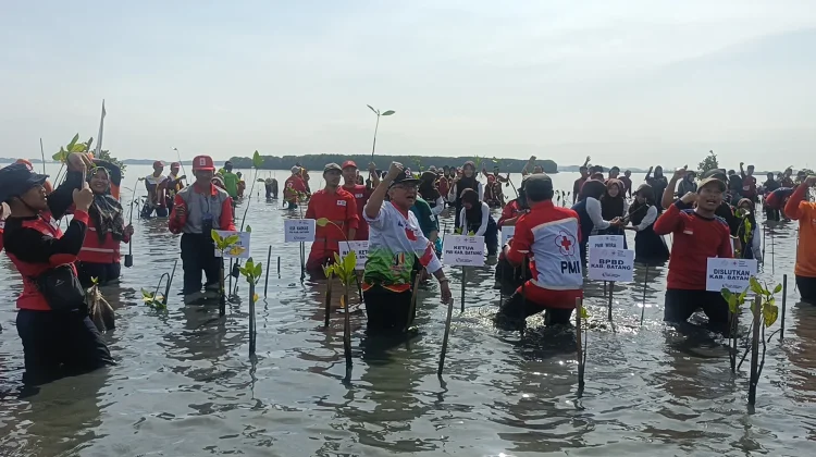 PMI Batang Upayakan Kawasan Rob Denasri Kulon Jadi Wisata Perikanan