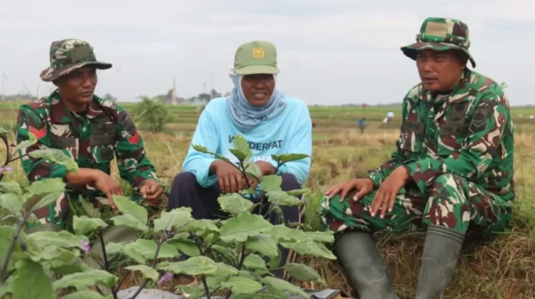 Komunikasi Sosial TMMD Hangatkan Suasana di Persawahan