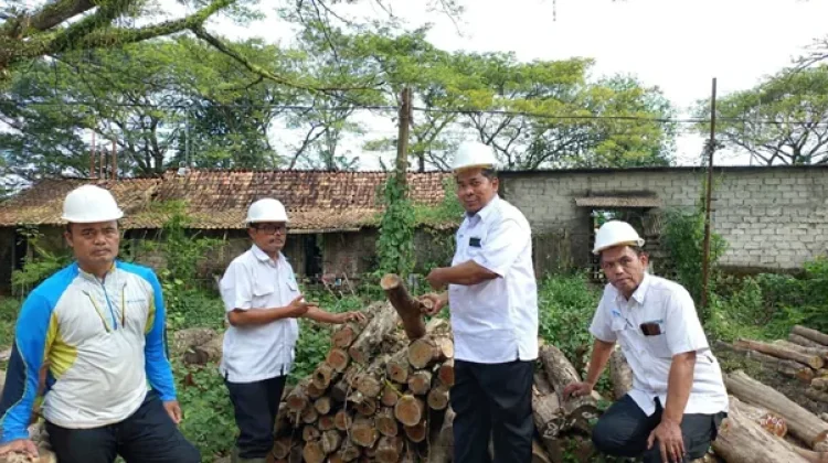 Optimalkan Pendapatan, Perhutani Manfaatkan Sisa Produksi Jadi Kayu Bakar