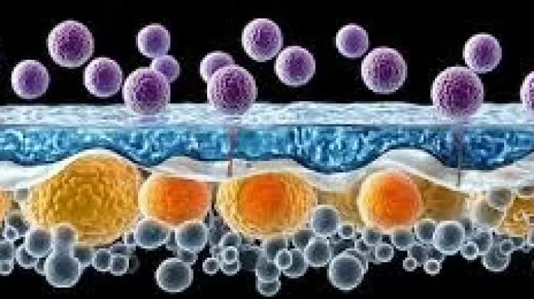 Pendekatan Baru Anti-Aging, Regenerasi dari Dalam dengan Terapi Seluler
