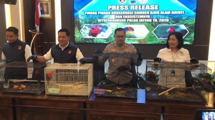 Perdagangan Burung Endemik Papua Digagalkan, Polisi Tangkap Tiga Pelaku
