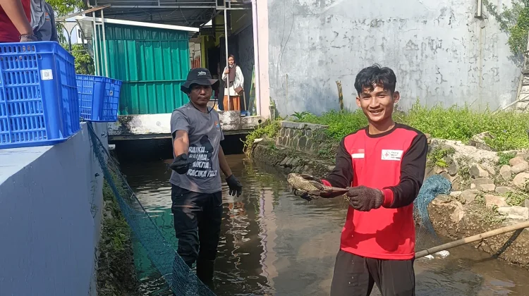 Ancam Ekosistem, Ikan Sapu-Sapu Dibersihkan Massal dari Saluran Air di Batang