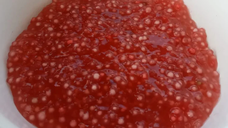 Peluang Usaha Bubur Mutiara Rumahan dengan Modal Terjangkau