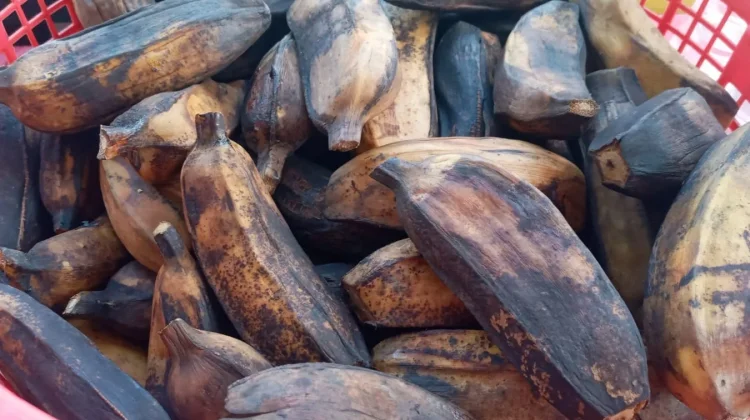 Cara Membuat Pisang Rebus Empuk dan Tidak Sepat