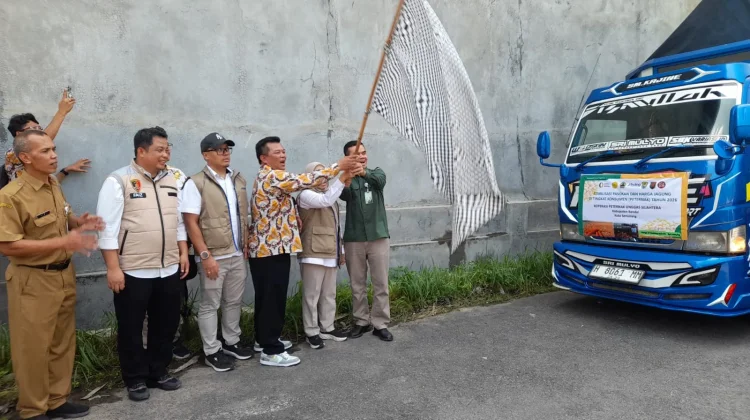 Pemerintah Salurkan Bantuan Subsidi Harga Jagung SPHP Bagi Peternak