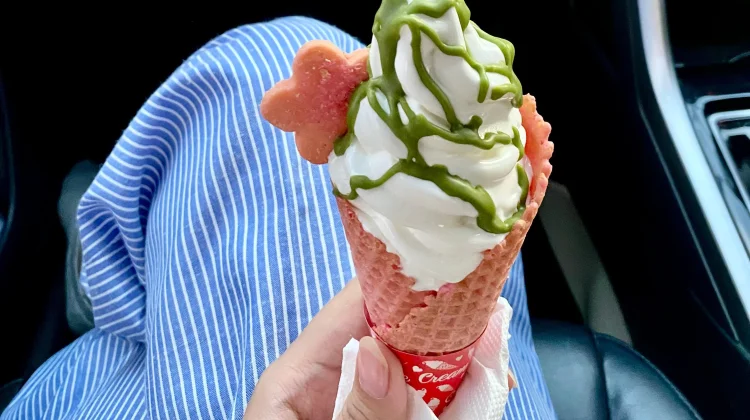 Mengapa Makan Ice Cream dengan Cepat bisa Mengalami Brain Freeze
