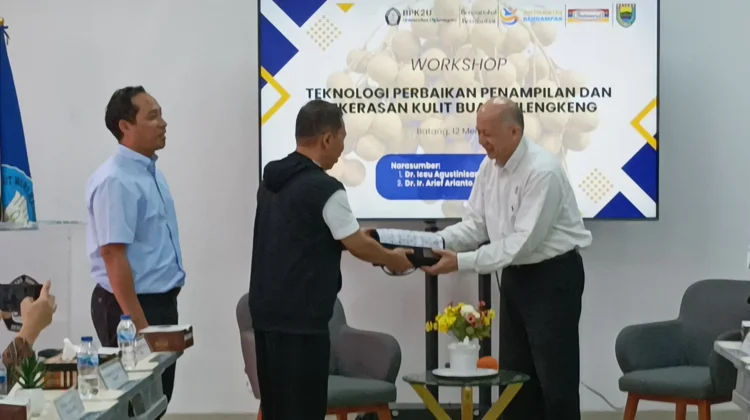 Peneliti BRIN Siap Dukung Peningkatan Mutu Kelengkeng Khas Batang