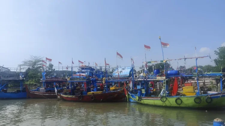 Hasil Tangkapan Anjlok dan Solar Subsidi Langka, Nelayan Pantura Terancam Tak Mela