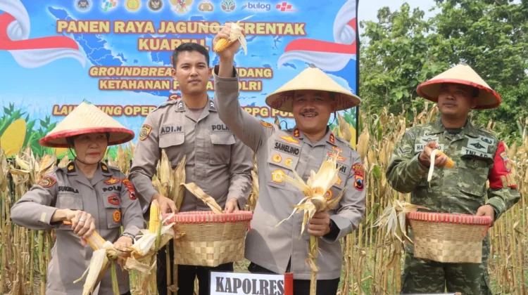 Polres Demak Panen Raya Jagung, Hasil 4 Ton Disalurkan ke Bulog
