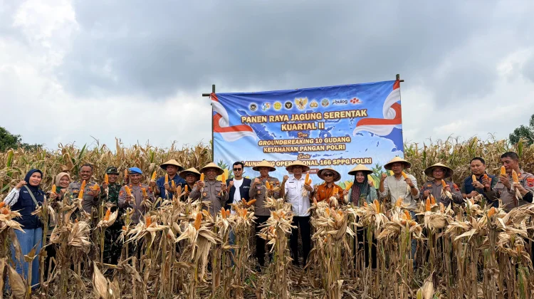 Panen Raya Jagung, Polres Batang Dukung Swasembada Pangan Nasional