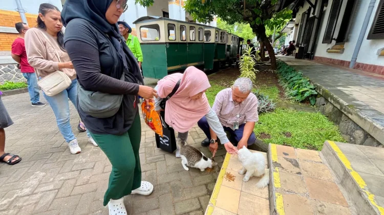 KAI Wisata Gandeng Komunitas Cat Lovers, Kucing Lawang Sewu Dipastikan Terawat