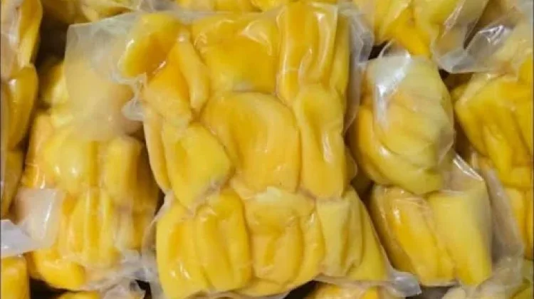 Strategi Pengemasan Nangka Frozen agar Tetap Segar