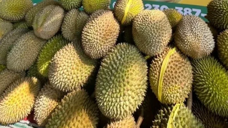 Durian, Buah Musiman yang Selalu Dinantikan