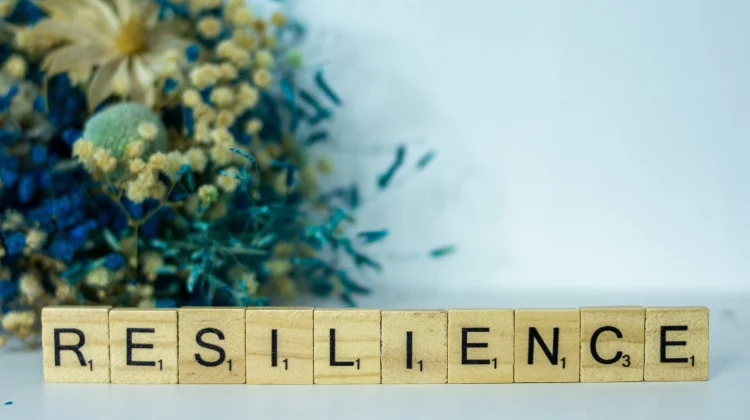 The Art of Resilience: Ubah Tekanan Jadi Kekuatan