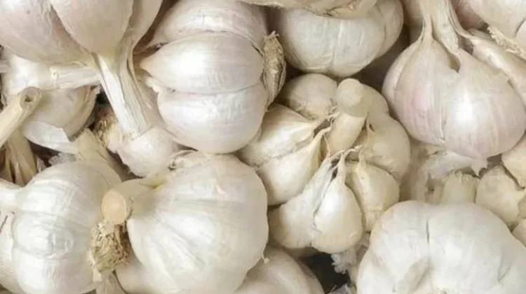 Mengenal Bawang Putih Kating, Si Favorit di Dapur