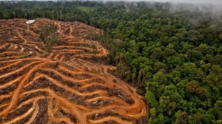 Walhi Sebut Kondisi Kerusakan Lingkungan di Jateng Kian Mengkhawatirkan
