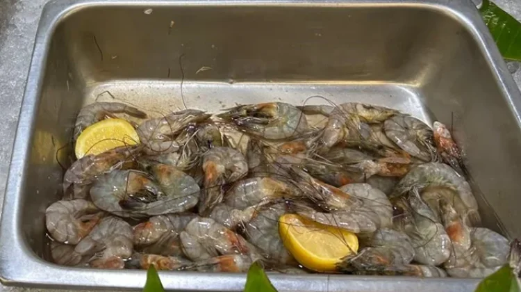 Udang, Sumber Protein Hewani Bernilai Gizi Tinggi