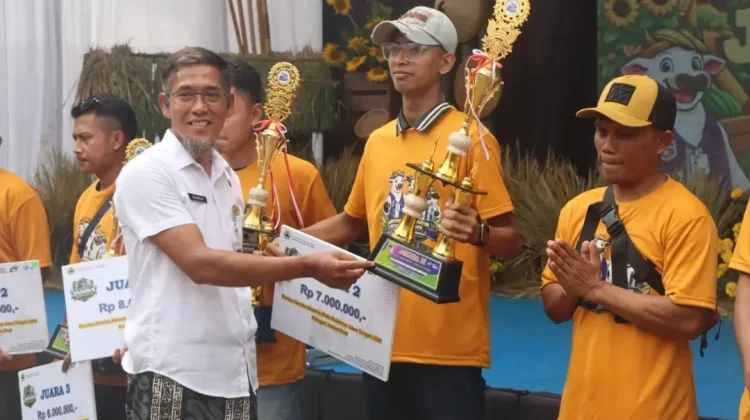 Berbobot 132 Kg, Domba Sakub Peternak Muda Ambarawa Raih Piala Gubernur Jateng