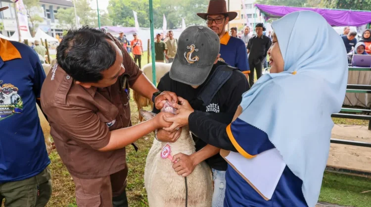 Jelang Iduladha, Jateng Perketat Pengawasan Kesehatan Hewan Kurban