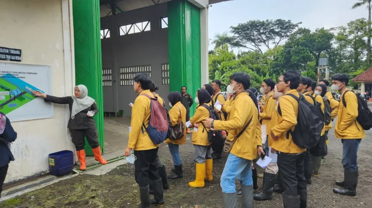 Karantina Jateng Bekali Mahasiswa Unsoed Pemahaman Industri Penggemukan Sapi
