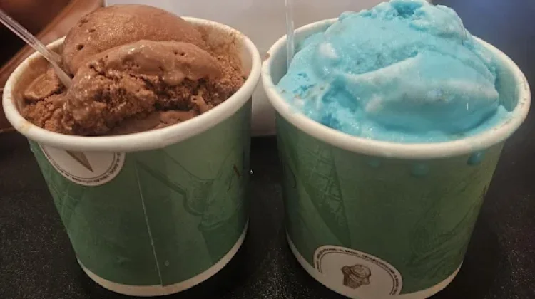Cara Membuat Es Krim Rasa Coklat dan Bubble Gum