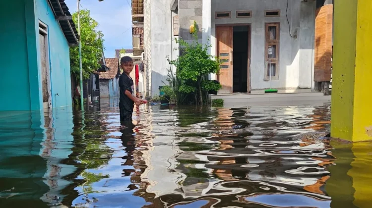 Hujan Deras Semalaman, Banjir Rendam Delapan Desa di Pati