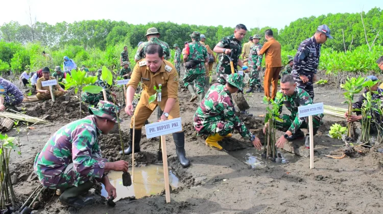 Lawan Abrasi Pantai, Kodim 0710 Gandeng Pemkab Pekalongan Tanam Seribu Mangrove