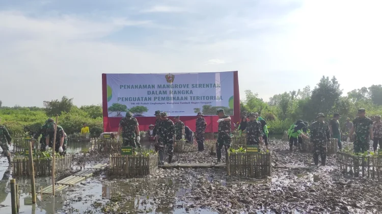 Hijaukan Pesisir, TNI-Pemkab Kendal Berkolaborasi lewat Penanaman 1.500 Mangrove