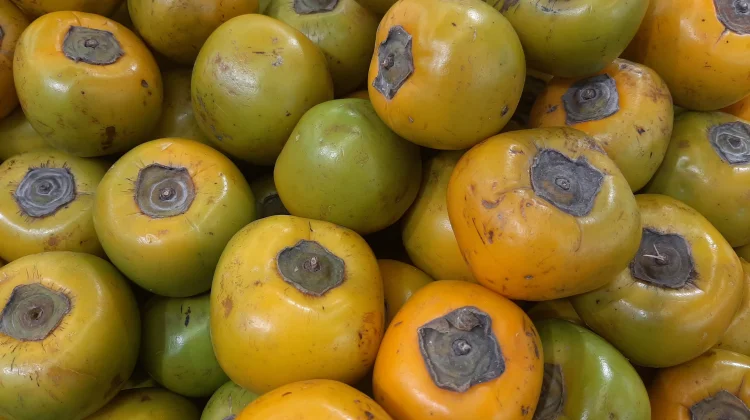 Fakta Unik Buah Kesemek