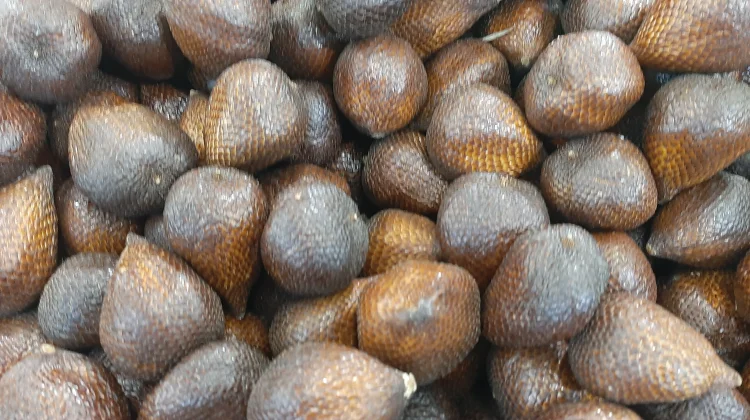 Tips Menyimpan Salak agar Awet