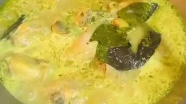 Cara Menghangatkan Opor Ayam agar Tetap Lezat