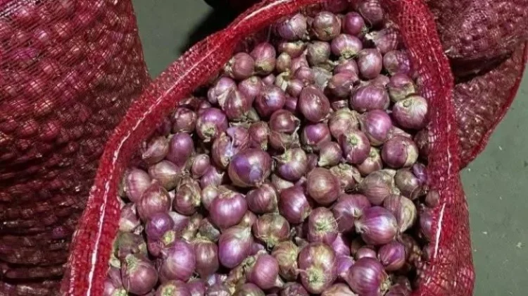 Kesalahan Umum saat Mengolah Bawang Merah