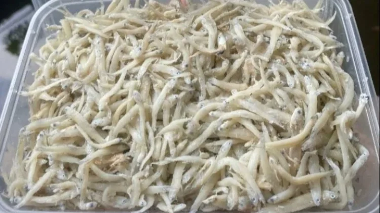 Trik Menggoreng Teri Nasi agar Renyah