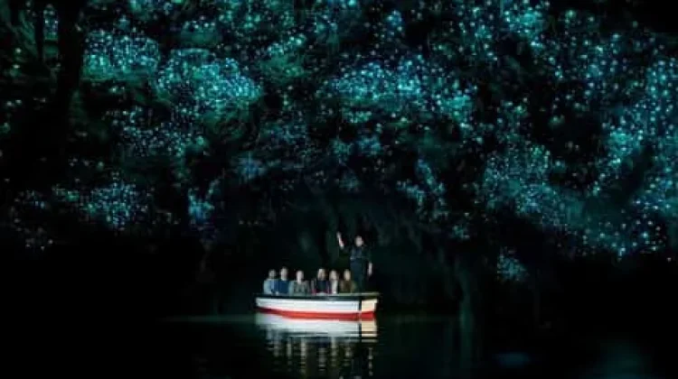 Uniknya Cahaya Glowworm di Gua Waitomo Selandia Baru