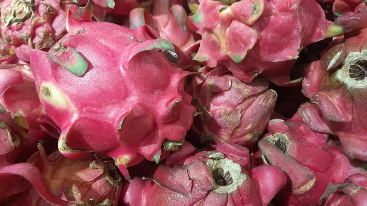 5 Tips Jitu Memilih Buah Naga