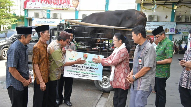 Wali Kota Agustina Salurkan Sapi Kurban, Ribuan Warga Kota Semarang Siap Menerima
