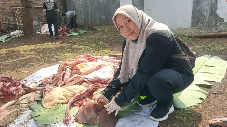 Waspada Cacing Hati, Dispaperta Batang Sidak Penyembelihan Hewan Kurban