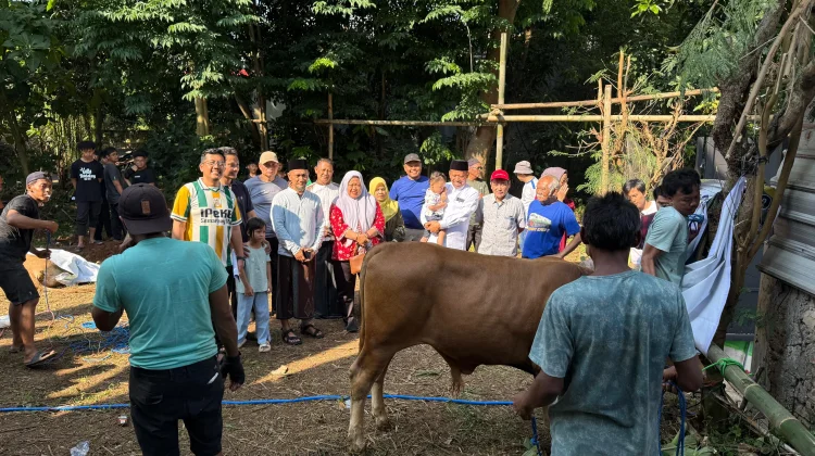 Rayakan Iduladha, Rektor Undip Suharnomo Berbaur Guyub dengan Warga