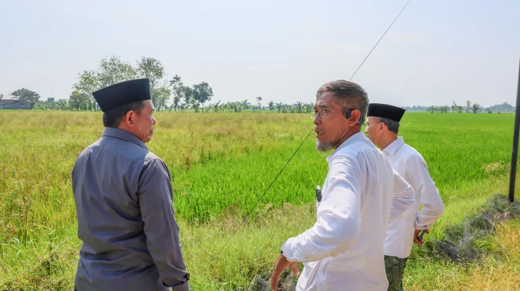 Sawah Petani Tinanding Tertimbun Lumpur Pascabanjir, Pengerukan Jadi Solusi