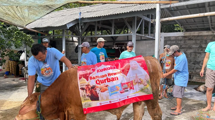 Kokola Group bersama Mamah Dedeh Salurkan Kurban Sapi Limosin