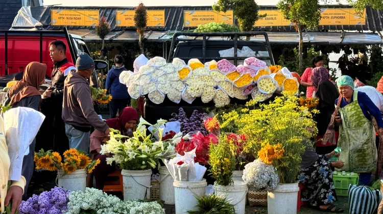Pasar Bunga Bandungan, Surga Florikultura Terbesar di Jawa Tengah