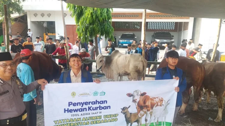 USM Salurkan Kurban ke Warga Terdampak Rob Timbulsloko hingga Pesantren Gus Baha