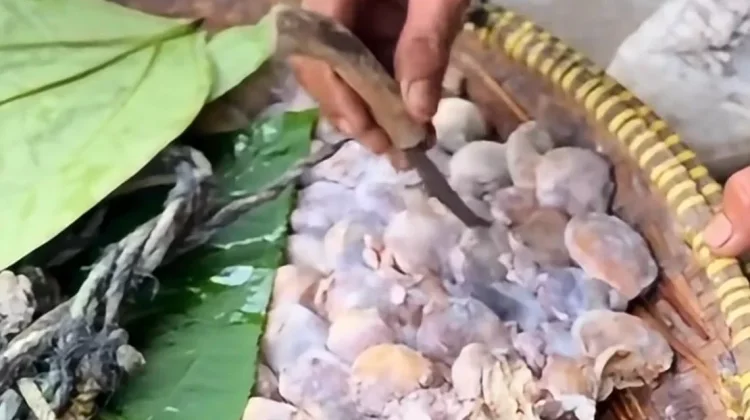 Mengenal Kotok Bongkok Makanan Khas Lebak Banten